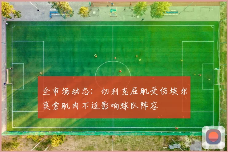 全市场动态：切利克屈肌受伤埃尔莫索肌肉不适影响球队阵容
